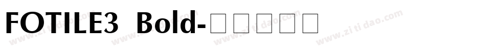 FOTILE3 Bold字体转换